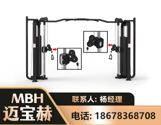 大飞鸟训练器