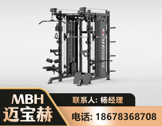 三合一综合训练架
