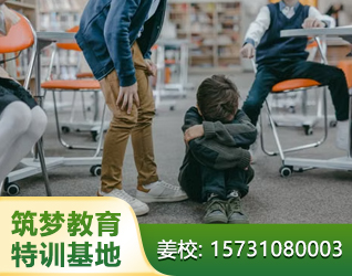 孩子厌学休学叛逆