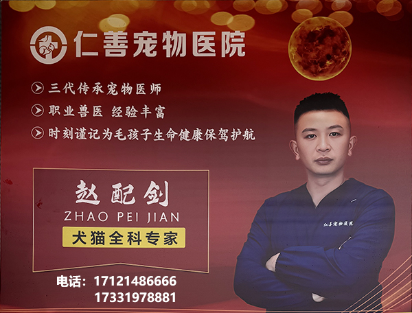 关于邯郸仁善宠物医院